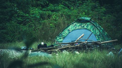 Tent on field in forest