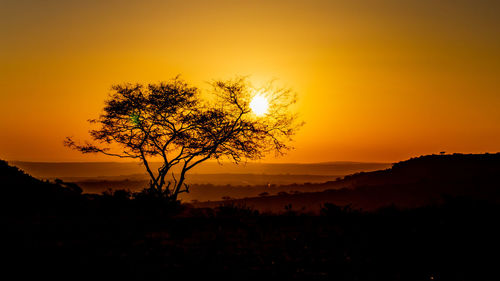 Silhouette tree on landscape against orange sky