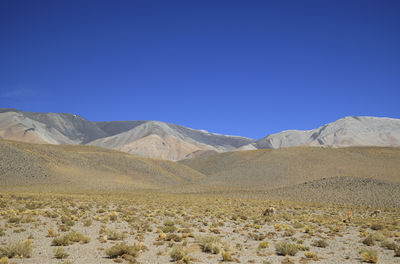 Scenic view of snowcapped mountains against clear blue sky