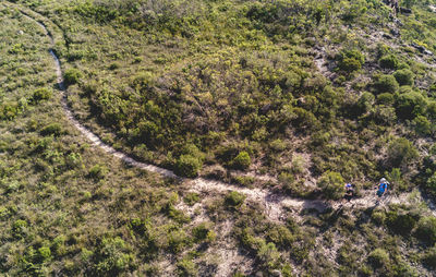 Full frame shot of footpath