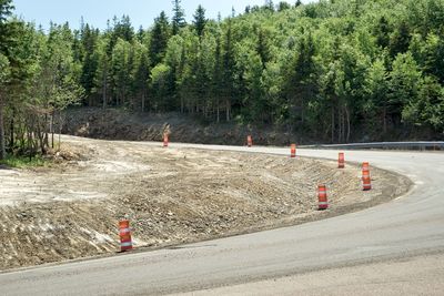 People working on road by trees in city