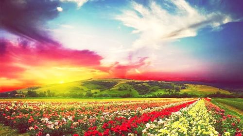 beauty in nature