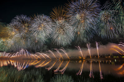 Low angle view of firework display at night