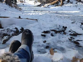 Low section of person on snow covered land