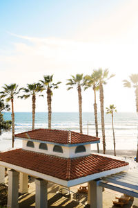 Palm trees by swimming pool against sky