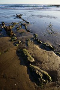 High angle view of wet shore