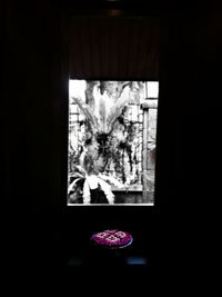 Close-up of vase on window