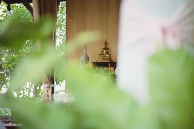 Traditional building amidst plants