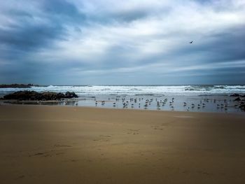 Scenic view of beach against sky