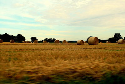 Hay bales on field against sky