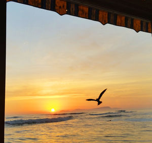 Silhouette bird flying over sea against sky during sunset