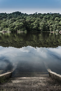 High angle view of steps in lake against trees