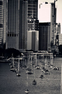 Boats in harbor