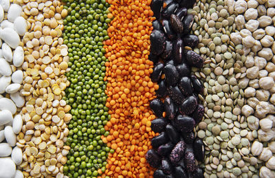 Food natural background made with different legumes