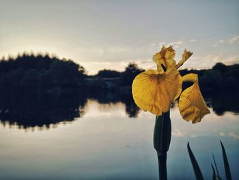 Scenic shot of calm lake at sunset