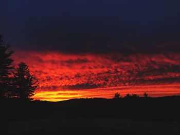 Silhouette trees against sky at sunset