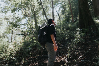 Hiker standing amidst trees at forest