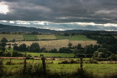 Scenic view of agricultural field against sky