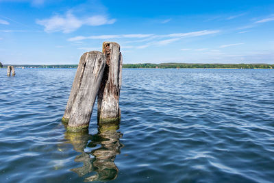 Wooden posts in rippled water, land in background