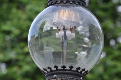 Close-up of light bulbs hanging from glass