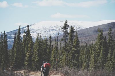 Rear view of person on mountain against sky