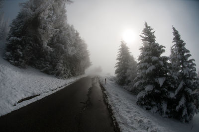 Empty road along snow covered trees during foggy weather