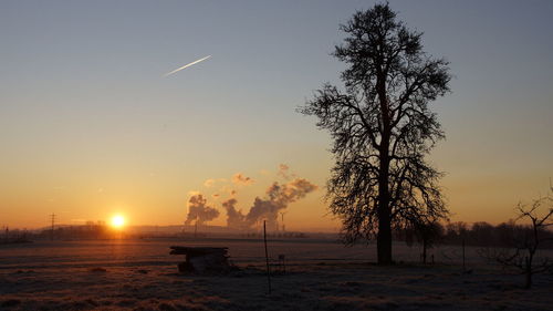 Silhouette trees on field against sky during sunset