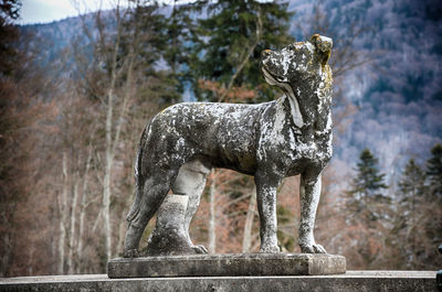 Statue of a horse