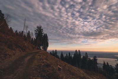 Road amidst trees against sky during sunset