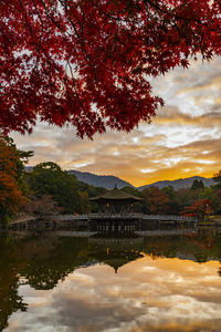 Nara park nara park reflection of the autumn leaves seasonal ukimido