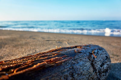 Close-up of wood on beach against sky