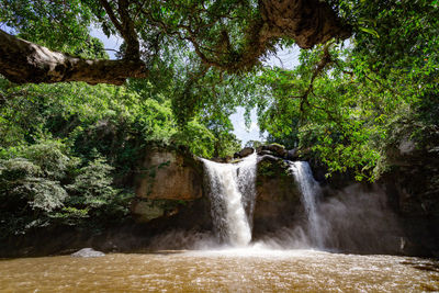 Scenic view of waterfall in forest