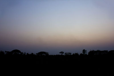 Silhouette trees against clear sky during sunset