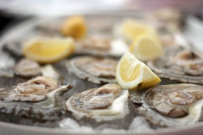 Close-up of oyster shells served in plate