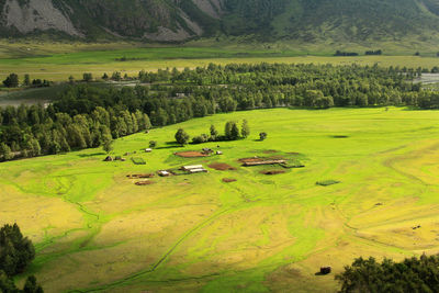 Green valley of the chulyshman river in the ak-kurum tract in altai in summer,  sunlight