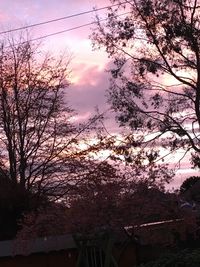 Silhouette trees against dramatic sky during sunset