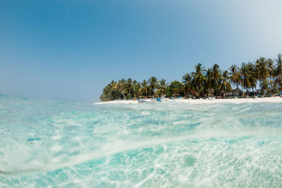 Magnificent view of sea with transparent water and sandy beach with palm trees on sunny day