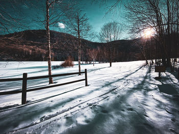 Snow covered landscape