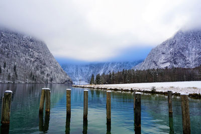 Fairyland full of blue and white