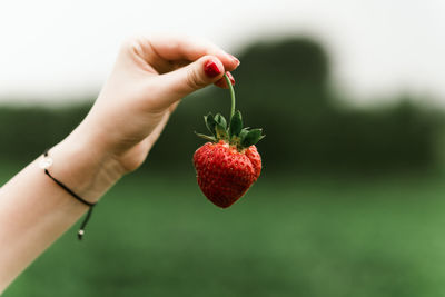 Close-up of hand holding strawberry