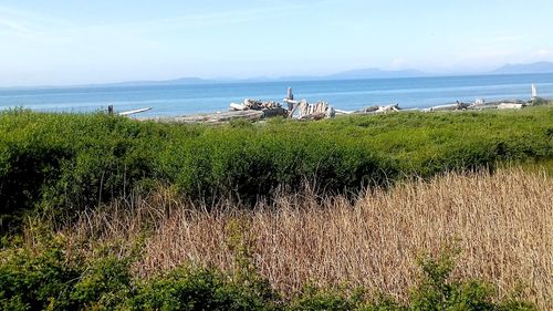 Scenic view of sea against sky