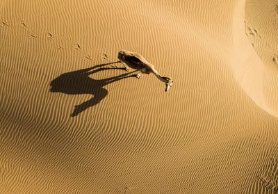 High angle view of man on wall