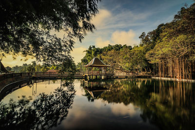 Reflection of trees in lake against sky