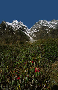 Scenic view of snowcapped mountains against clear sky