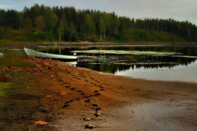 Scenic view of lake in forest