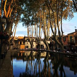 Reflection of trees and buildings in lake