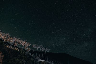 Low angle view of star field sky at night