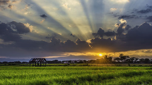 Scenic view of field against sky during sunset