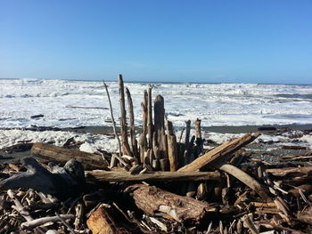 High angle view of driftwood on beach