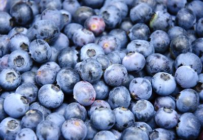 Full frame shot of blueberries